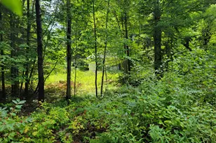 239 Folsom Pond Rd, Lincoln, ME 04457 - Photo 8