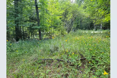 239 Folsom Pond Road, Lincoln, ME 04457 - Photo 10