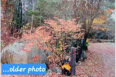 239 Folsom Pond Road, Lincoln, ME 04457 - Photo 18