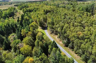 365 Flat Mountain Rd, Saint Agatha, ME 04772 - Photo 88