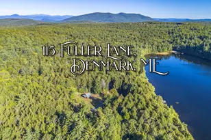 115 Fuller Ln, Denmark, ME 04022 - Photo 66