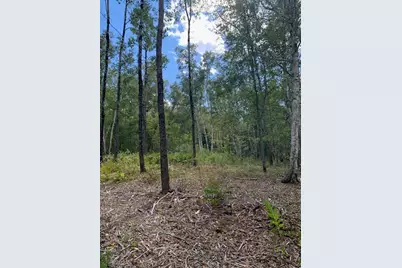 Lot 56 Off Dunns Point Way, Machiasport, ME 04655 - Photo 10