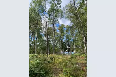 Lot 56 Off Dunns Point Way, Machiasport, ME 04655 - Photo 8