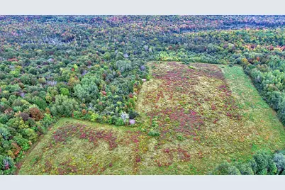 Lot 9 Baker Ridge Road, Danforth, ME 04424 - Photo 16