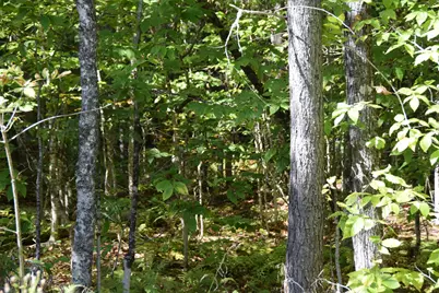 M10 L11 Off Campbell Road, Athens, ME 04912 - Photo 6