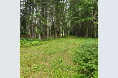 70 Back Road, Abbot, ME 04406 - Photo 30