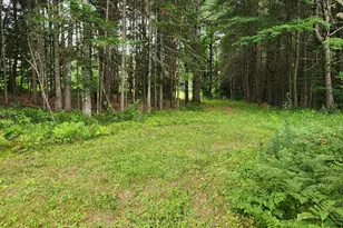 70 Back Rd, Abbot, ME 04406 - Photo 30