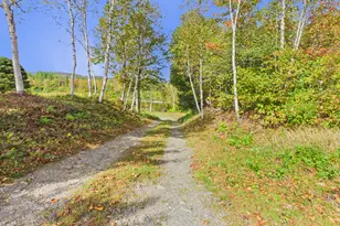 10 Dickey Rd, Allagash, ME 04774 - Photo 62