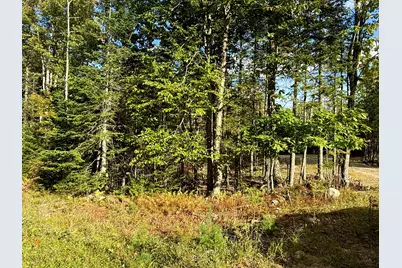 157 Winkumpaugh Road, Orland, ME 04472 - Photo 12