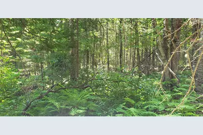 Lot#6 Old County Road, Milo, ME 04463 - Photo 2