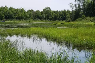Lot#6 Old County Rd, Milo, ME 04463 - Photo 1
