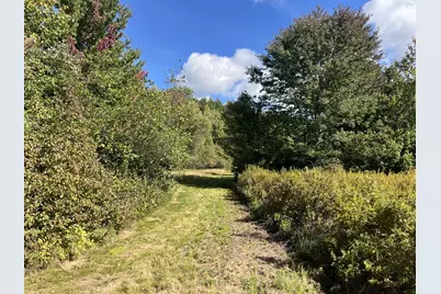 M67,Lot03A Bisbee Town Road, Waterford, ME 04088 - Photo 8