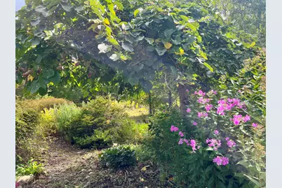 2 Blueberry Lane, Belfast, ME 04915 - Photo 46