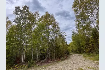 Lots 17+18 Junior Williams Road, Wesley, ME 04686 - Photo 6