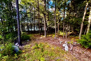 Lot 02 Flat Iron Pond Road Rd, T3 R9 Nwp, ME 04462 - Photo 4