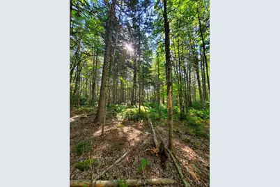 0 Reach and Folly Roads, Brooklin, ME 04616 - Photo 10
