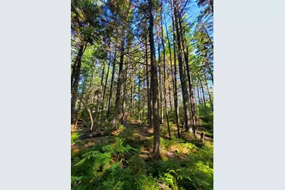 0 Reach and Folly Roads, Brooklin, ME 04616 - Photo 16