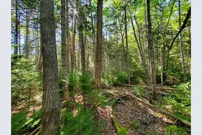 0 Reach and Folly Roads, Brooklin, ME 04616 - Photo 30