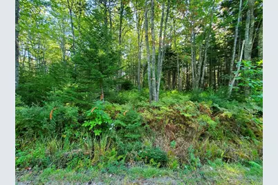 0 Reach and Folly Roads, Brooklin, ME 04616 - Photo 2
