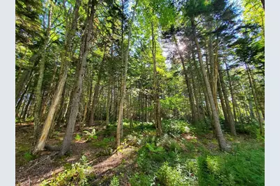 0 Reach and Folly Roads, Brooklin, ME 04616 - Photo 6