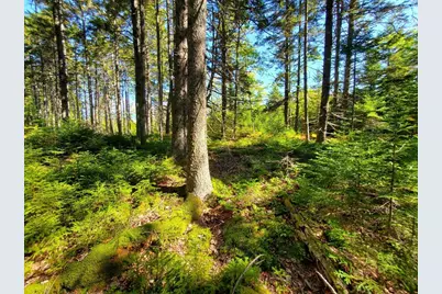 0 Reach and Folly Roads, Brooklin, ME 04616 - Photo 38