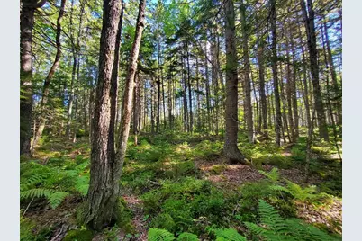 0 Reach and Folly Roads, Brooklin, ME 04616 - Photo 14
