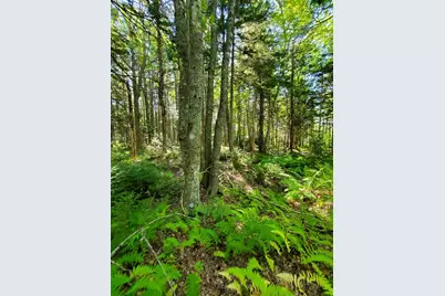 0 Reach and Folly Roads, Brooklin, ME 04616 - Photo 26