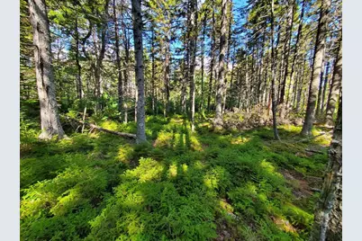0 Reach and Folly Roads, Brooklin, ME 04616 - Photo 40
