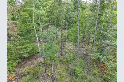Lot 23 Paradis Road, Peru, ME 04290 - Photo 8