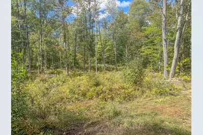 Lot 23 Paradis Road, Peru, ME 04290 - Photo 10