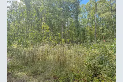 Lot 23 Paradis Road, Peru, ME 04290 - Photo 12