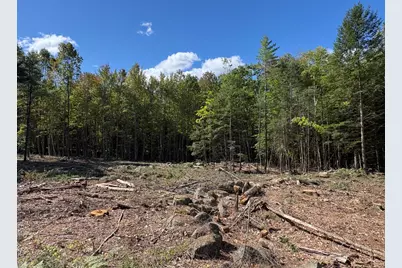 0 Edes Falls Road, Harrison, ME 04040 - Photo 2