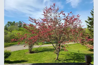 237 Lebanon Road, Winterport, ME 04496 - Photo 4