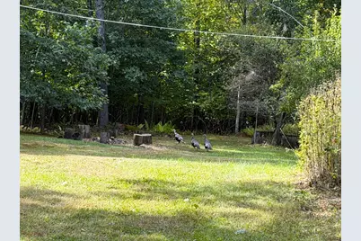 757 Tripptown Road, Hiram, ME 04041 - Photo 42