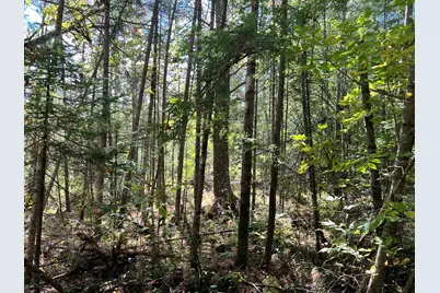 209Ab E Brown's Point Road E, Bowdoinham, ME 04008 - Photo 10