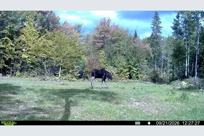 122 Soares Road, Brownville, ME 04414 - Photo 86