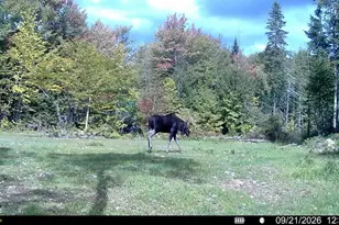 122 Soares Rd, Brownville, ME 04414 - Photo 86