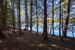 5 Kolm Ln, Garland, ME 04939 - Photo 1