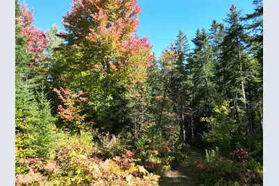 149 West Tucker Ridge Road, Springfield, ME 04487 - Photo 20