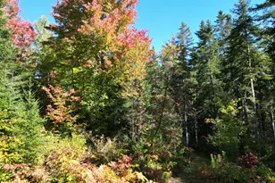 149 West Tucker Ridge Rd, Springfield, ME 04487 - Photo 20