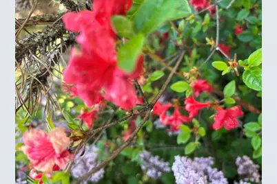 56 Town Farm Estate, Paris, ME 04281 - Photo 32