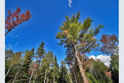 Off Lot 25 Townline Road, Smyrna, ME 04780 - Photo 12