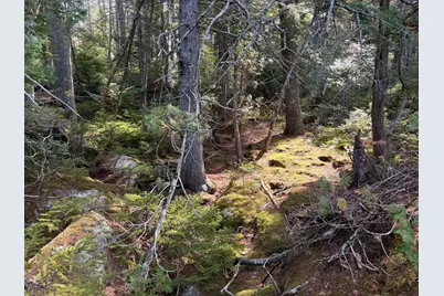 Map 3/17-9 Sunset Cove Way, Orland, ME 04472 - Photo 14