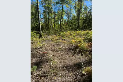 Lot 31-I Old Waterford Road, Lovell, ME 04051 - Photo 14