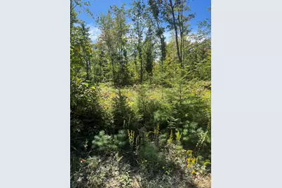 Lot 31-I Old Waterford Road, Lovell, ME 04051 - Photo 8