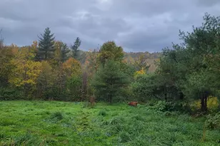 1298 Cape Rd, Limington, ME 04049 - Photo 34