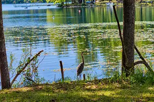 221 Soper Rd, Orland, ME 04472 - Photo 76