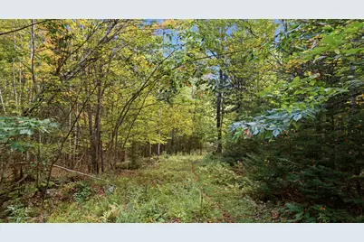 Lot 6 River Road, Sumner, ME 04292 - Photo 24