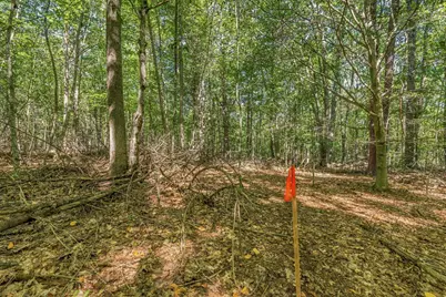 8 Brown's Freehold, York, ME 03909 - Photo 14