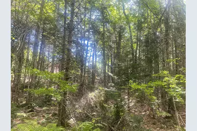 35 Hidden Acres, Steuben, ME 04680 - Photo 50